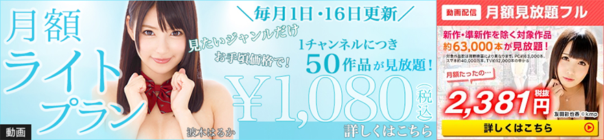 TSUTAYA TV アダルト